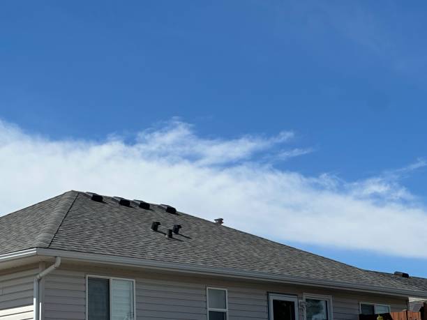 Best Storm Damage Roof Repair  in Pasadena, MD